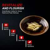 DLNIA botanicals: ashwagandha, ginkgo y lions mane que apoyan enfoque