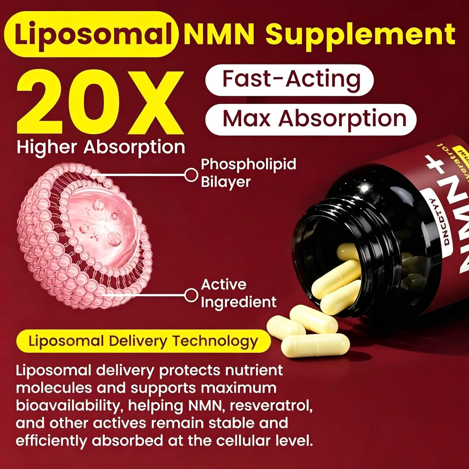 DNCDTYY diagrama liposomal que ilustra mayor absorción