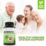 DOCTOR RECOMMENDED SUPPLEMENTS canela de Ceilán y berberina juntos, ingredientes puros