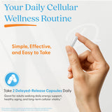 Doctor's BEST cápsulas en mano demostrando tamaño cómodo y uso diario sencillo