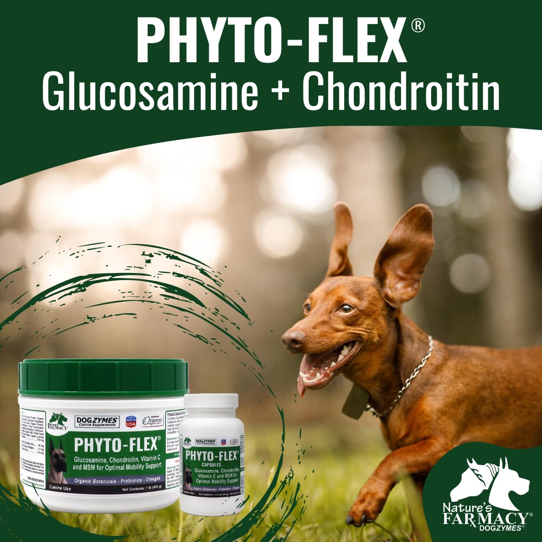 Dogzymes cucharilla medidora con polvo lista para añadir alimento