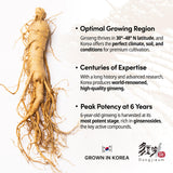 Dongjieum cápsula abierta con contenido en polvo, comprobación de calidad
