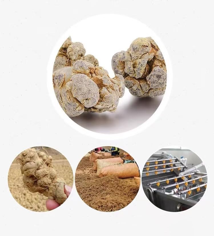 Doorpetal bolsa de 250 g junto a regla para ver tamaño real