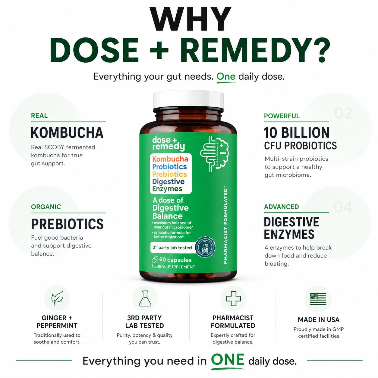 dose + remedy ingredientes kombucha y té negro que aportan probióticos