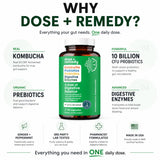 dose + remedy ingredientes kombucha y té negro que aportan probióticos