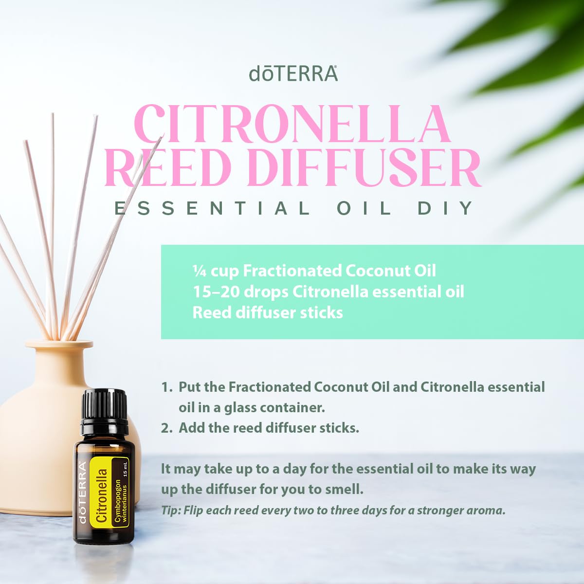 doTERRA aplicación diluida en cuero cabelludo para sensación calmante