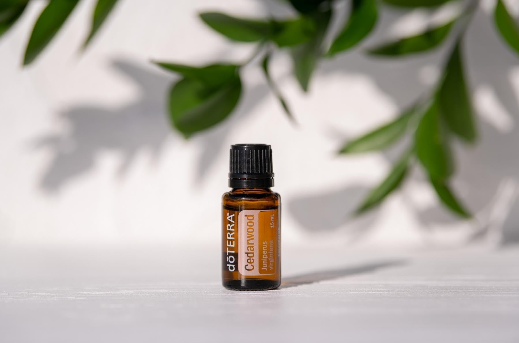 doTERRA etiqueta nítida del Cedro con información y beneficios visibles