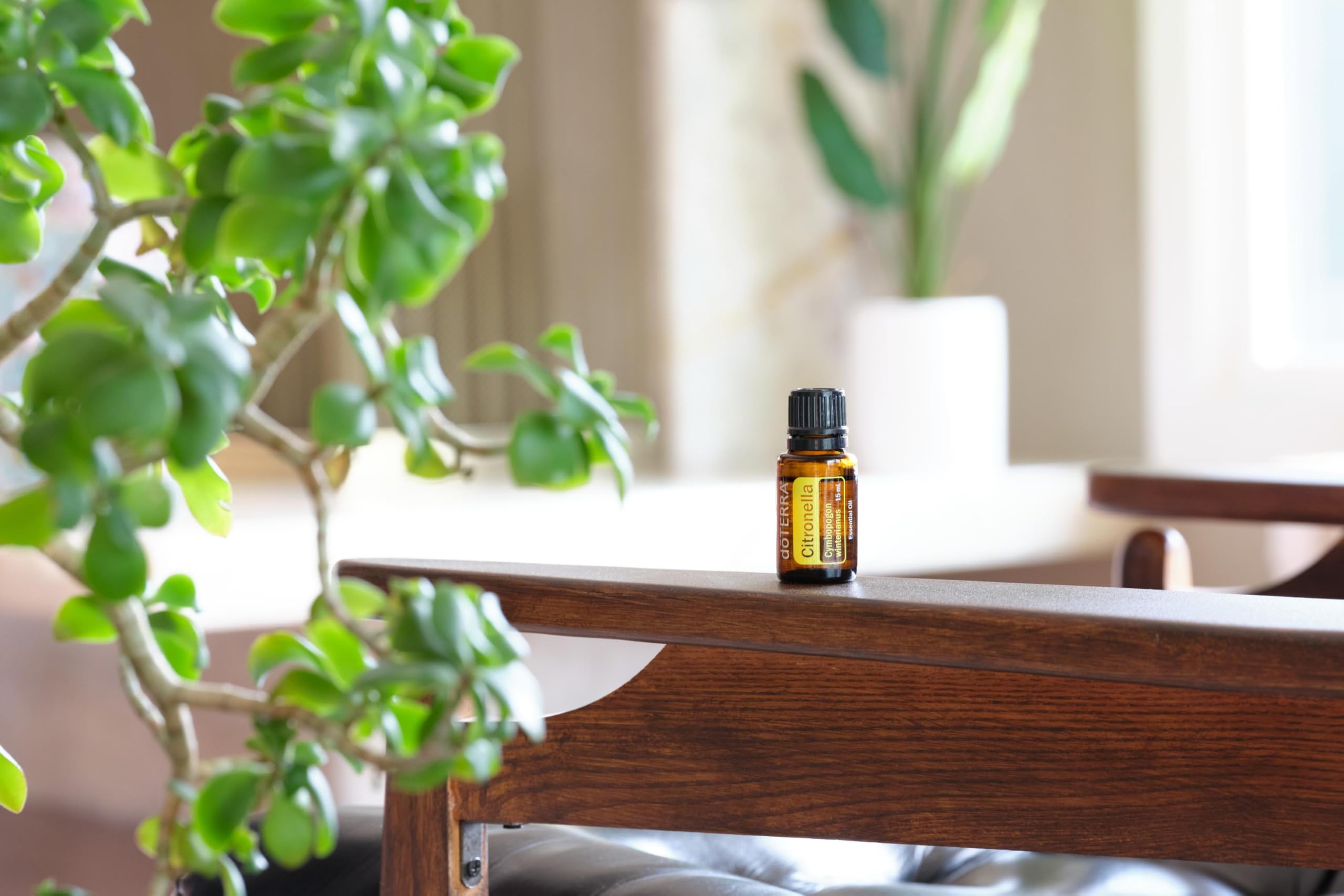 doTERRA botella junto a paño limpiando superficie con aroma cítrico