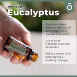 doTERRA ambiente de hogar con Eucalyptus Radiata, energía fresca