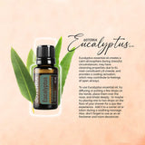 doTERRA spray limpiador casero con Eucalyptus Radiata, frescura