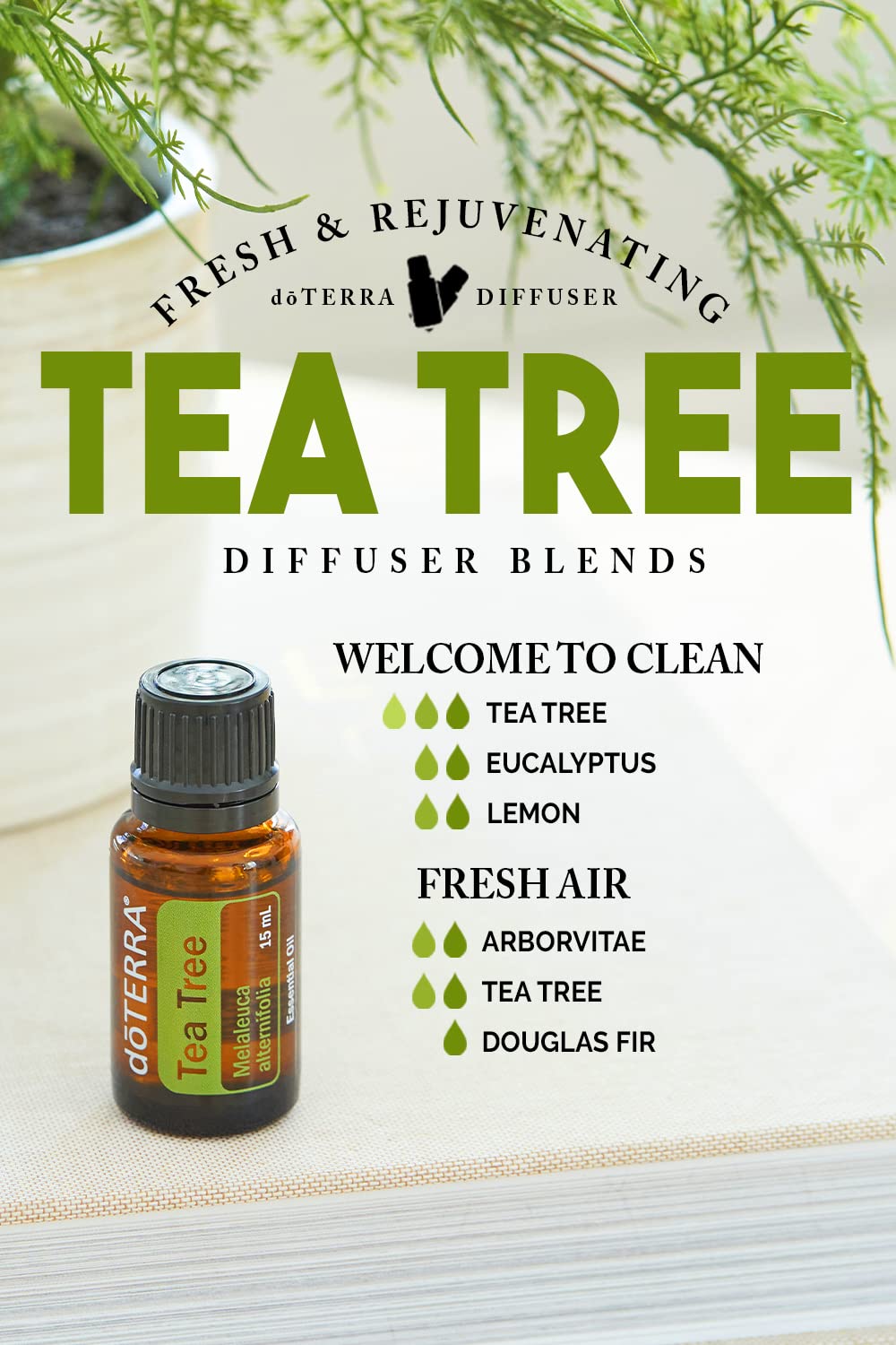 doTERRA difusor en sala con Melaleuca, ambiente aireado y limpio