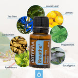 doTERRA gota de aceite Breathe en piel mostrando textura y absorción