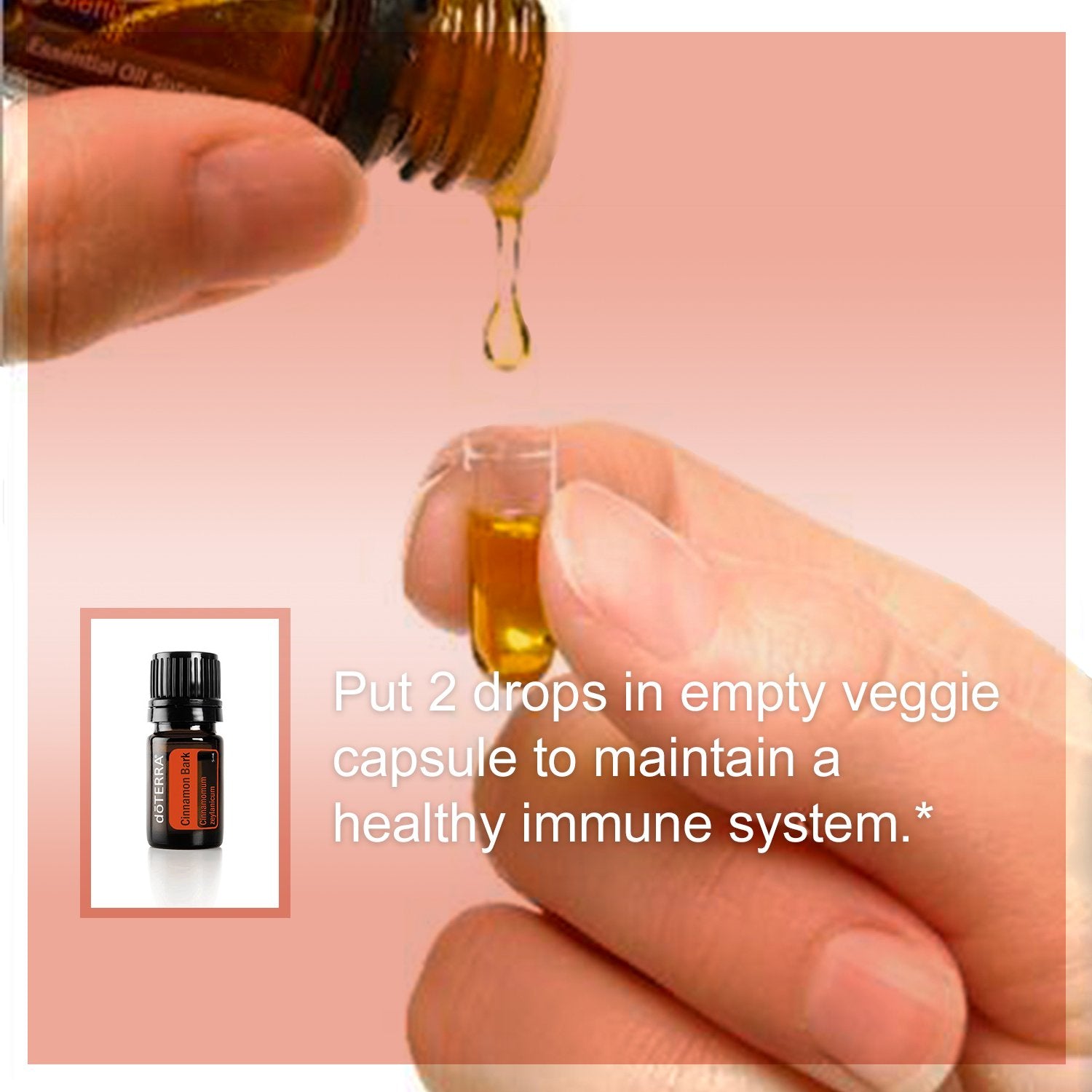 doTERRA spray casero repelente con canela, alternativa natural para insectos