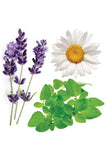 doTERRA etiqueta Serenity enfoque legible y confianza del producto