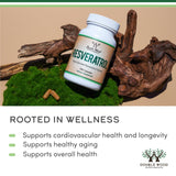 Double Wood Supplements cápsula en mano para comparar tamaño y comodidad