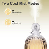 DOUDING niebla fina saliendo del difusor para humidificar y aromatizar