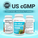 Dr. Berg alga Klamath azul-verde, aporte de nutrientes marinos complementarios