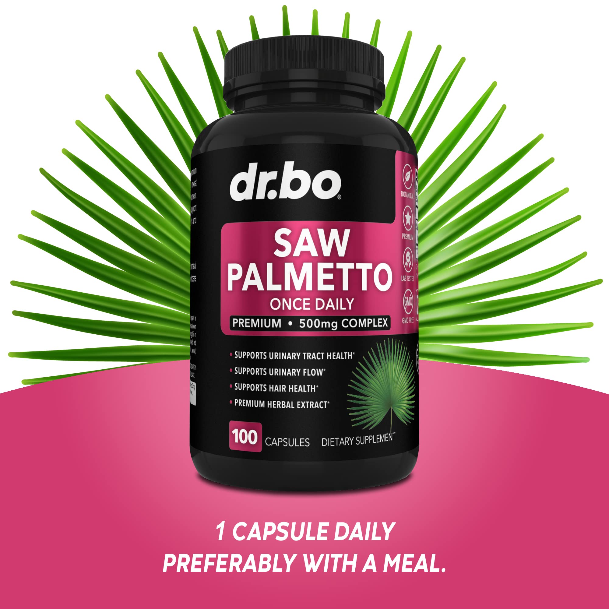DR. BO frutos de saw palmetto naturales que ilustran el origen botánico