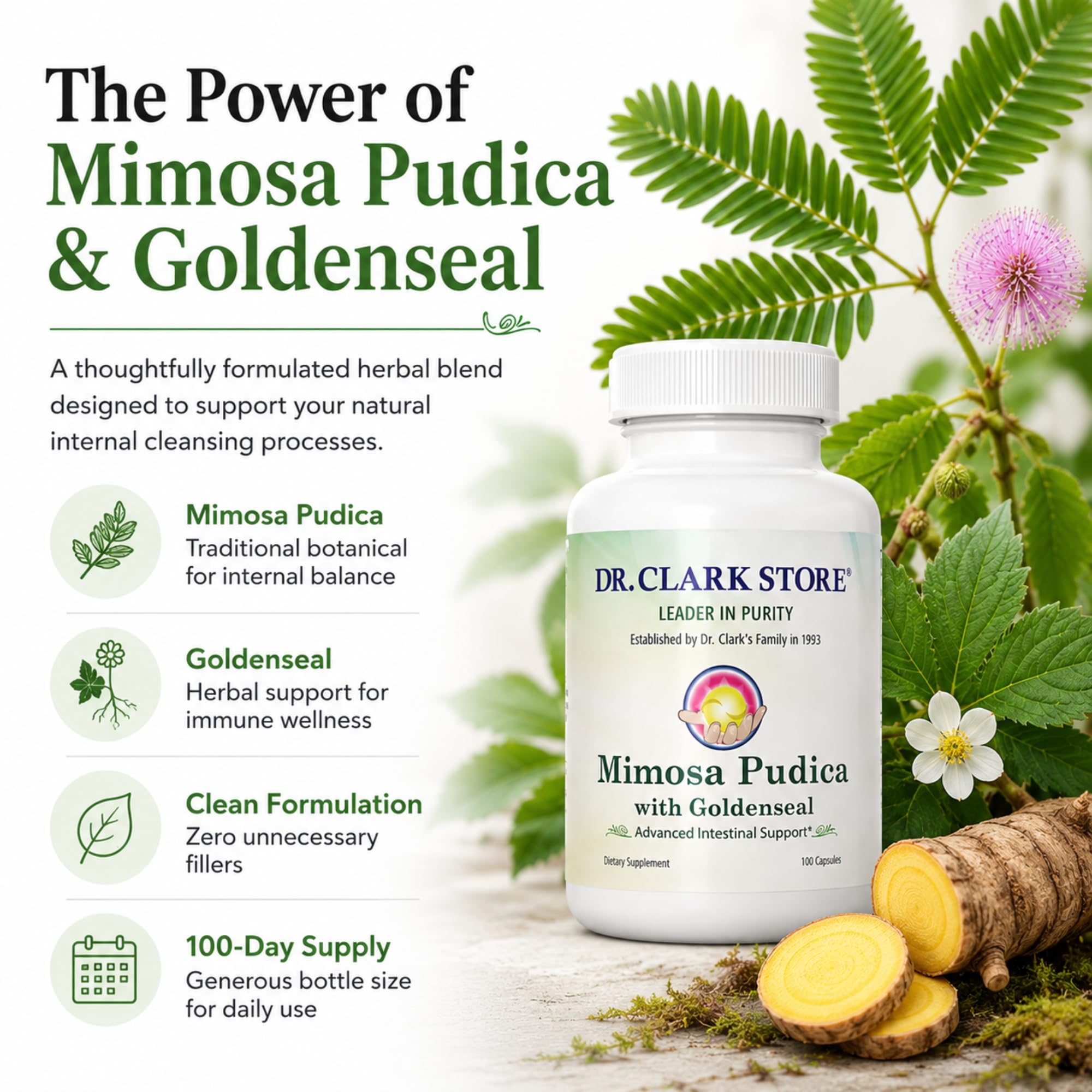 Dr Clark Store textura del polvo de Mimosa pudica y goldenseal destacando pureza del ingrediente