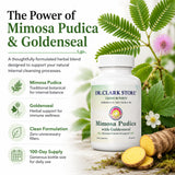 Dr Clark Store textura del polvo de Mimosa pudica y goldenseal destacando pureza del ingrediente