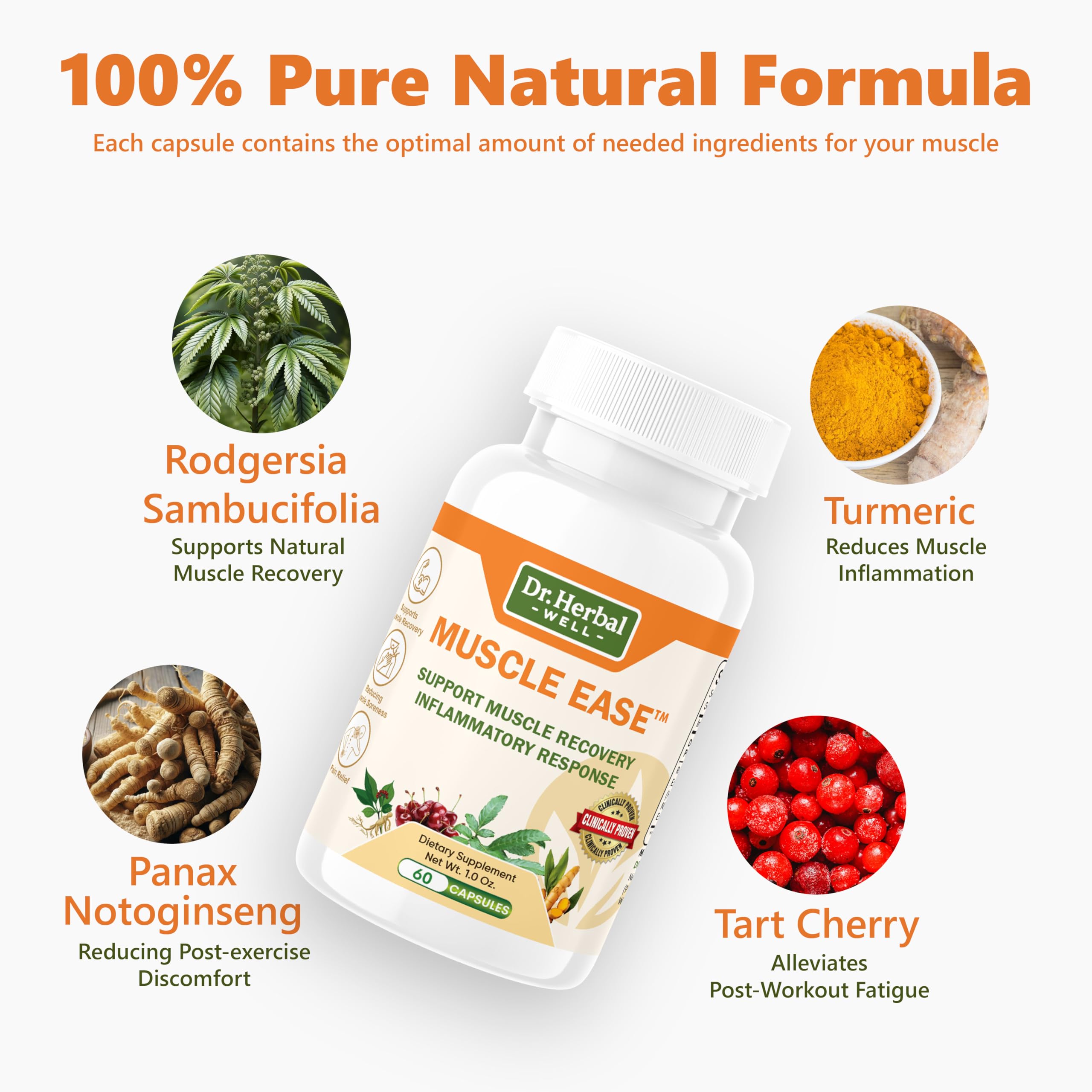 DR. HERBAL WELL etiqueta con ingredientes clave legibles