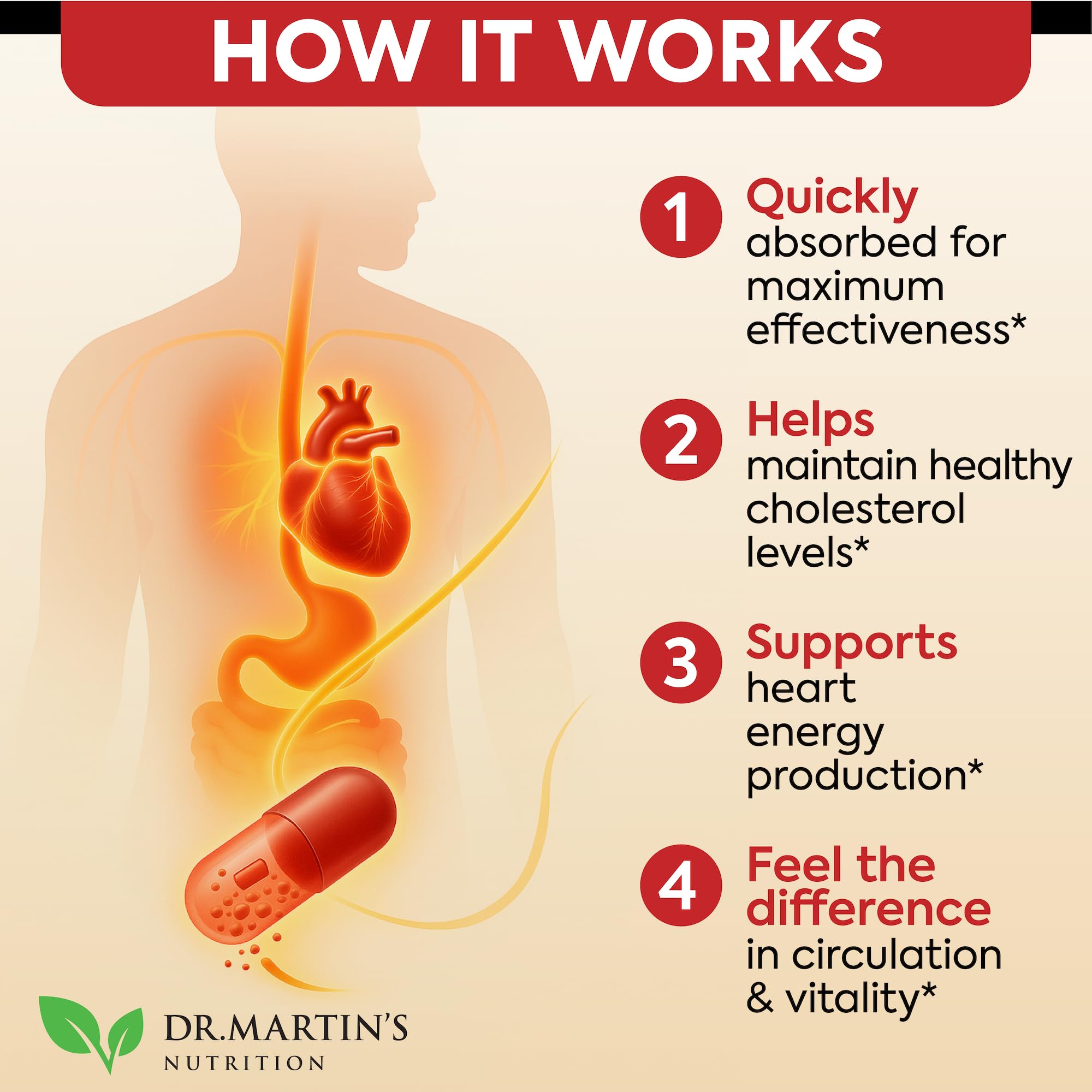 DR. MARTIN'S NUTRITION cápsula abierta mostrando contenido y transparencia de ingredientes
