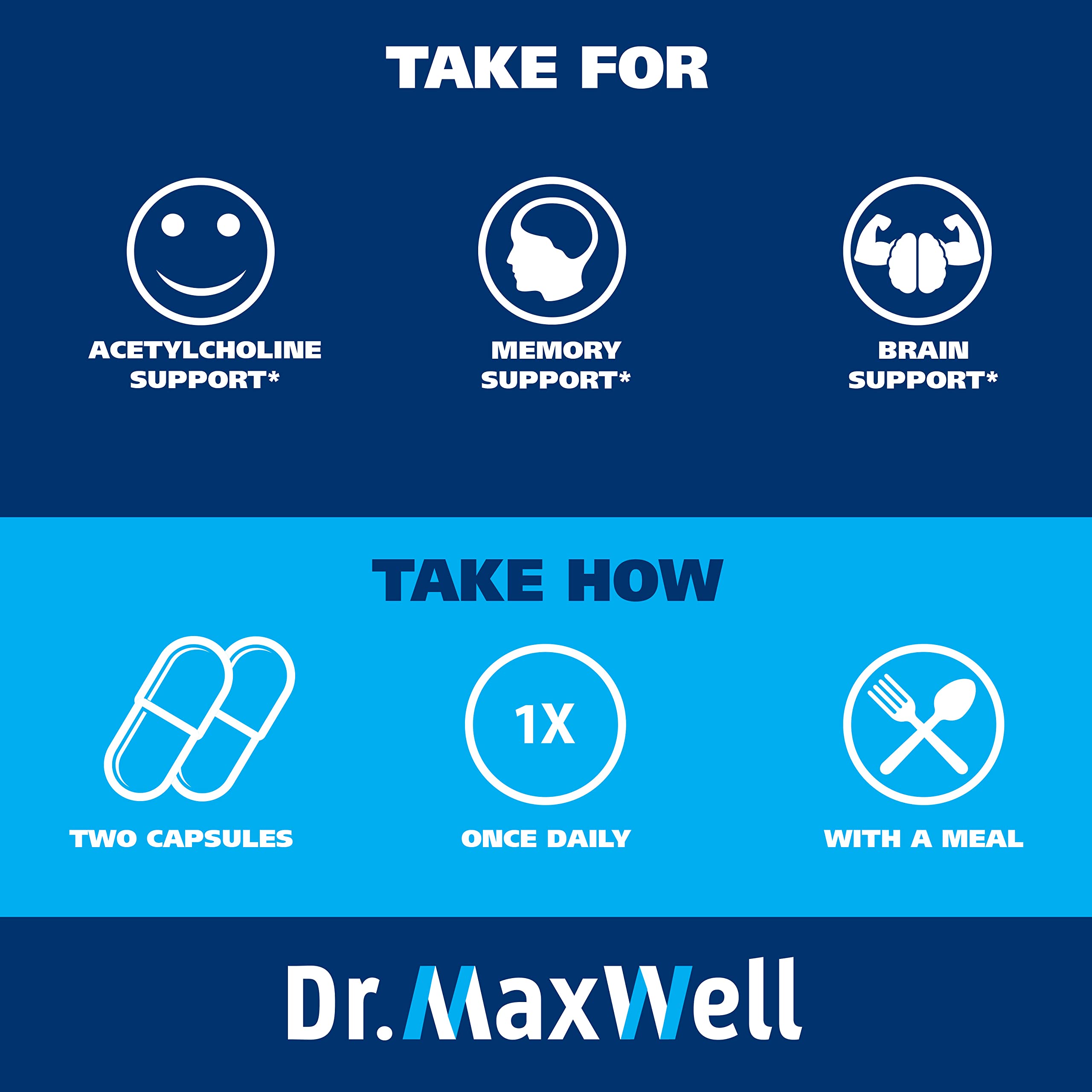 Dr. Maxwell Bacopa y Alpha GPC juntos ilustrando sinergia