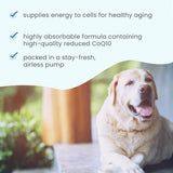 Dr. Mercola aplicación sobre comida de perro mostrando administración sencilla