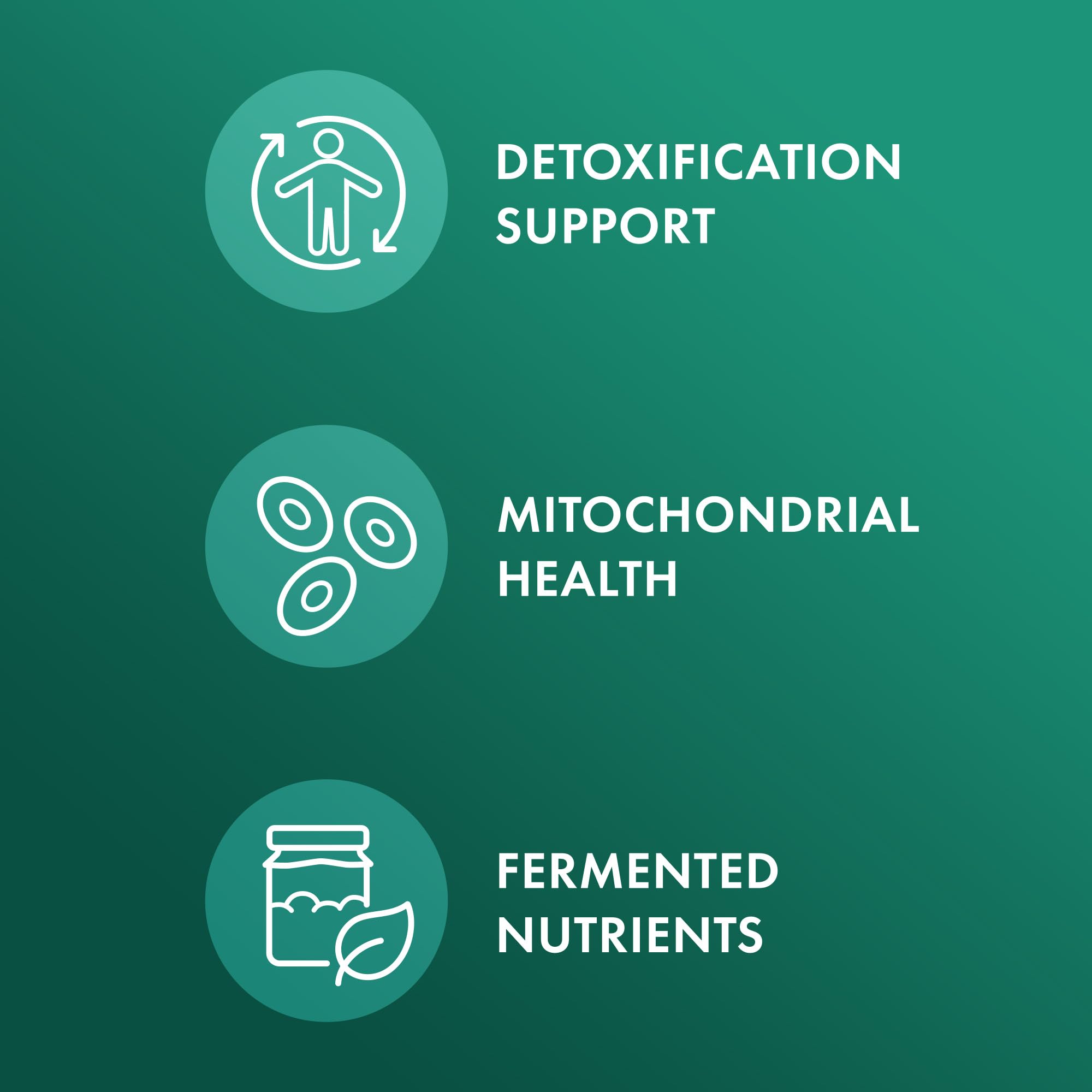 Dr. Mercola ilustración del proceso de fermentación para mayor biodisponibilidad