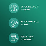 Dr. Mercola ilustración del proceso de fermentación para mayor biodisponibilidad