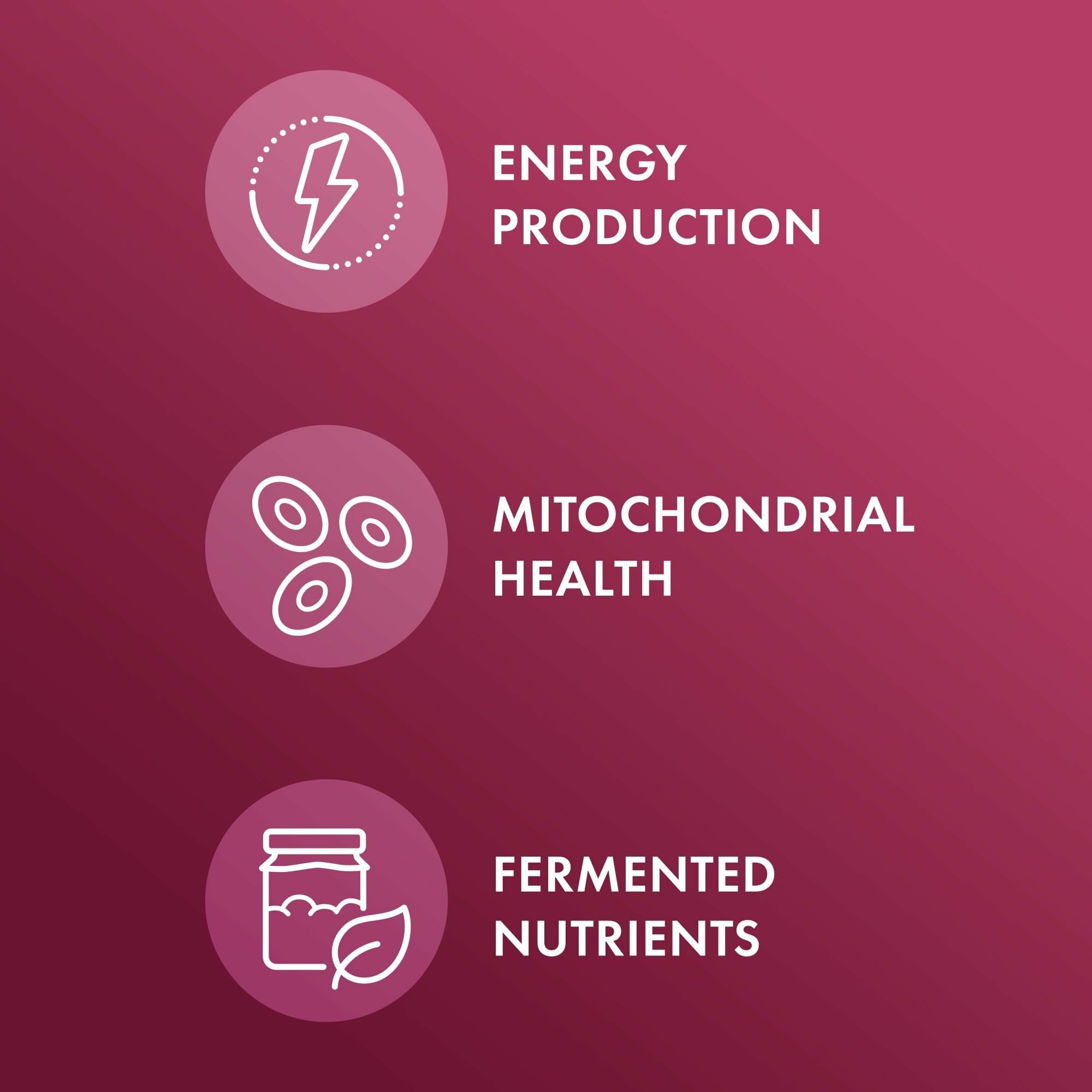 Dr. Mercola ilustración del proceso de fermentación que mejora absorción