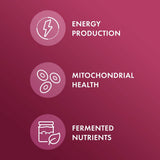 Dr. Mercola ilustración del proceso de fermentación que mejora absorción