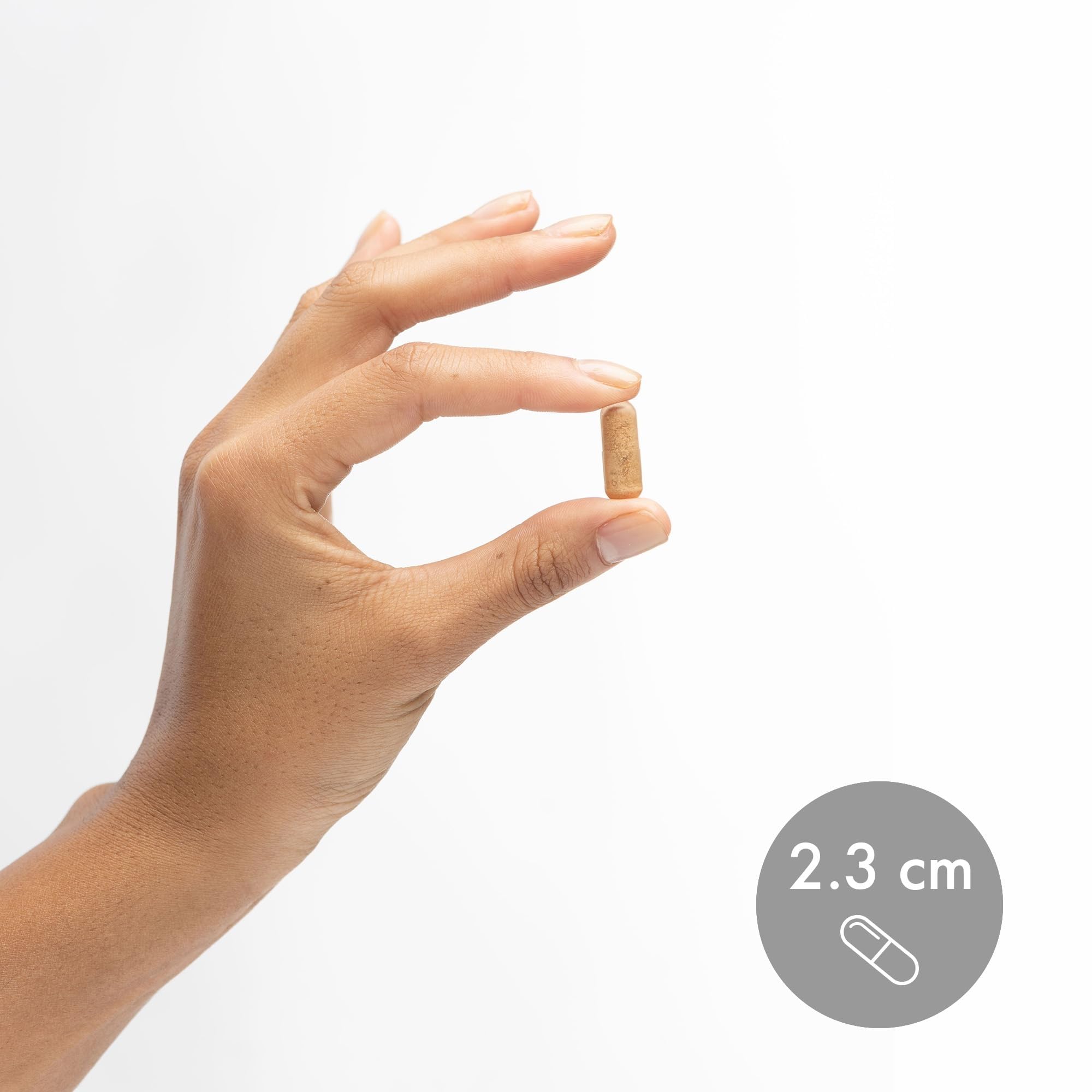 Dr. Mercola cápsulas servidas en plato para visual de dosis diaria