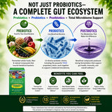 Essential Formulas Dr. Ohhira’s pasta fermentada detalle de textura y origen natural