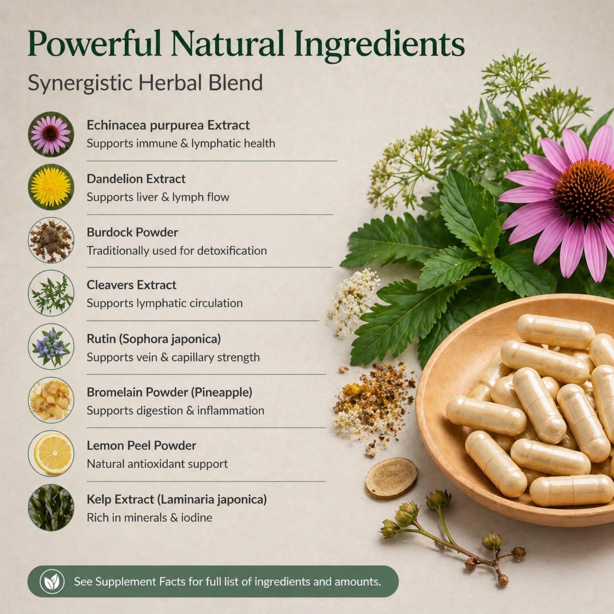 DR. SKIN CARE mezcla de echinacea, diente de león y bardana destacando origen vegetal