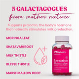 Dr. Stephanie's ingredientes naturales agrupados destacando galactagogos efectivos