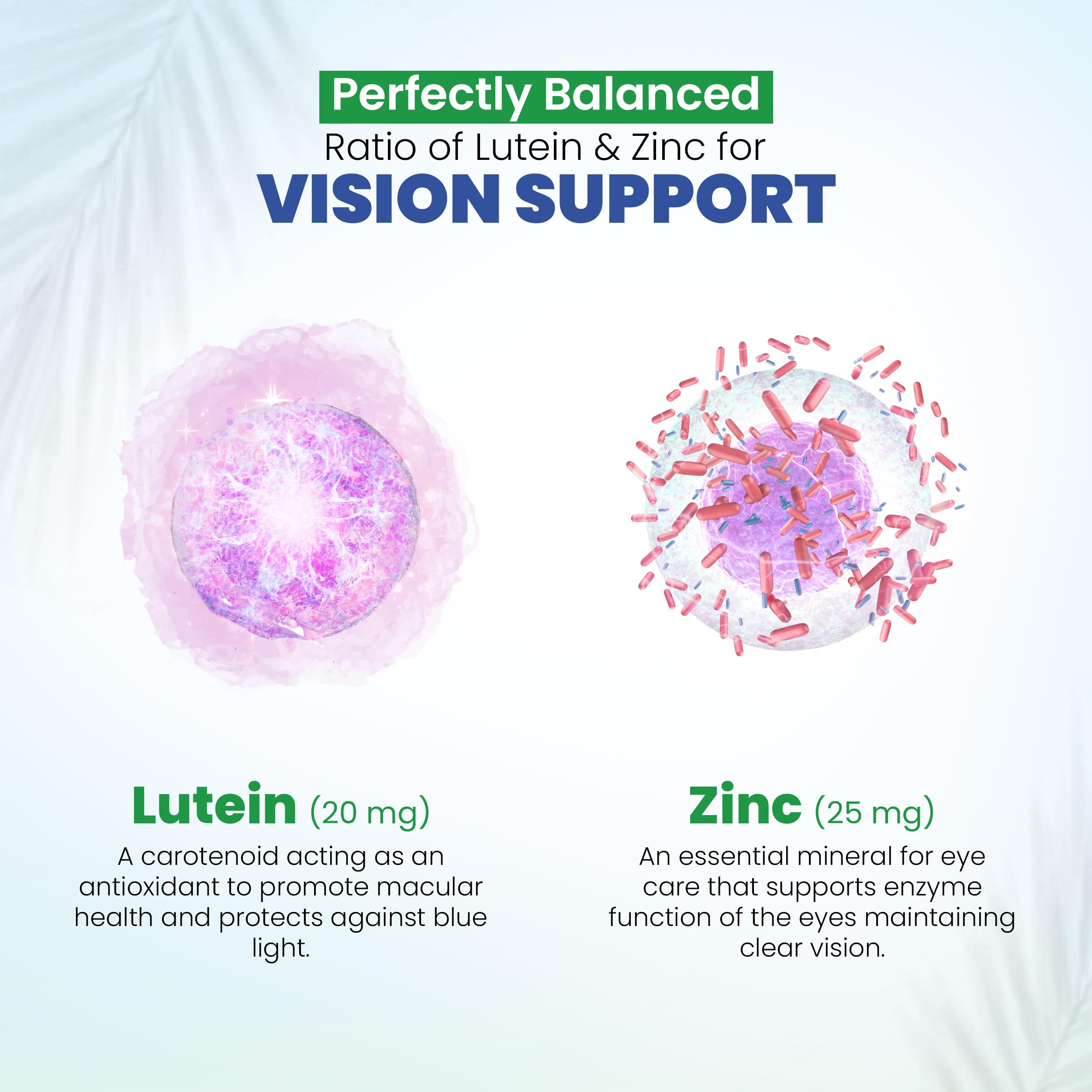 DR VITAMIN SOLUTIONS etiqueta nutricional en foco que garantiza transparencia