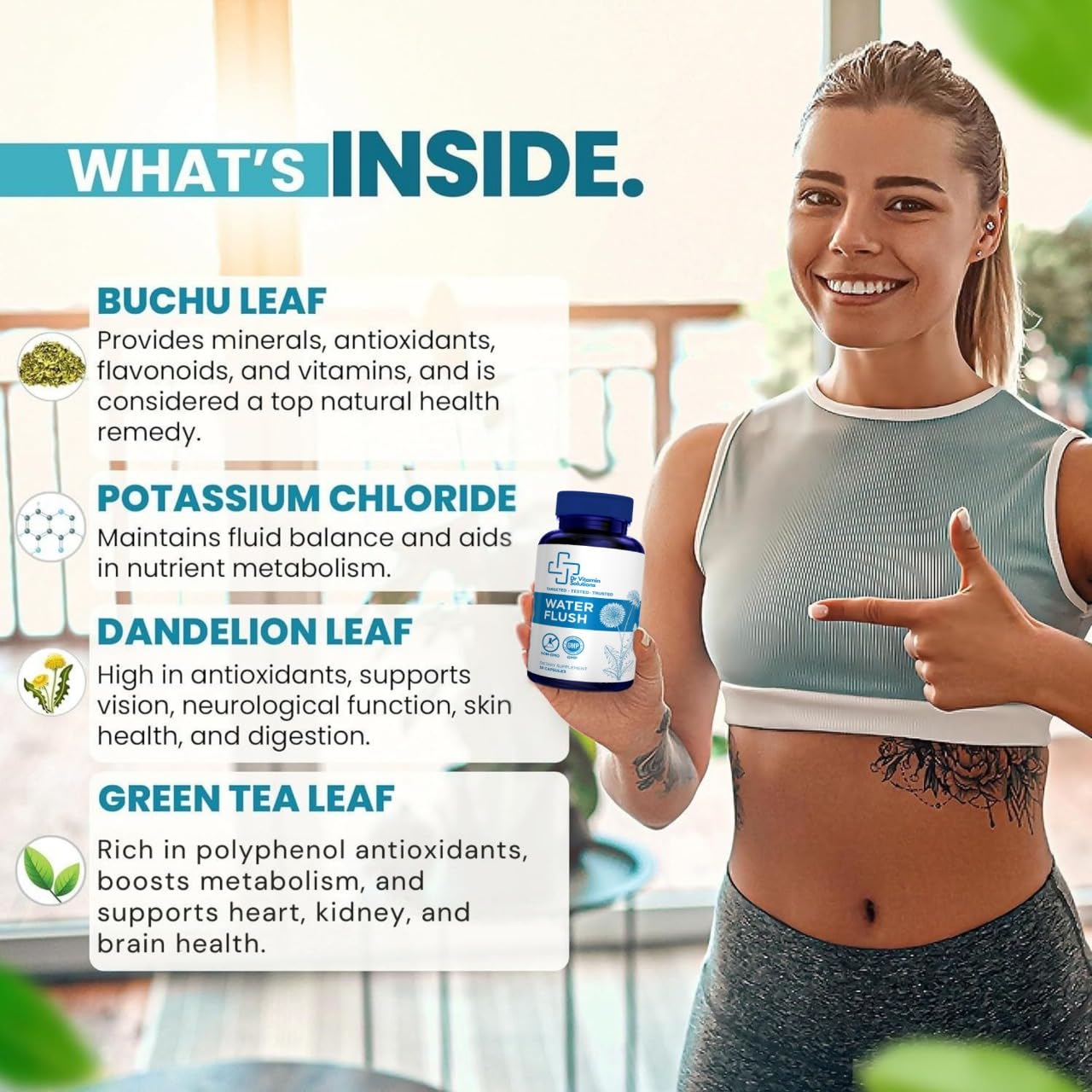 DR VITAMIN SOLUTIONS arándanos té verde y diente de león sobre mesa