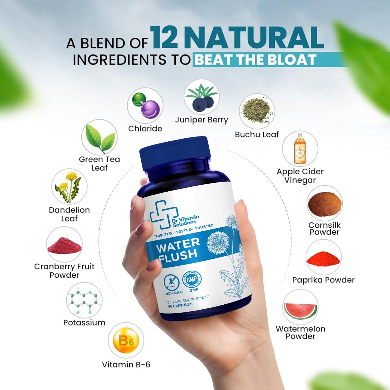DR VITAMIN SOLUTIONS polvo e ingredientes mostrando textura natural