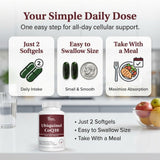 DR VITAMIN SOLUTIONS envase abierto mostrando cápsulas guardadas ordenadas