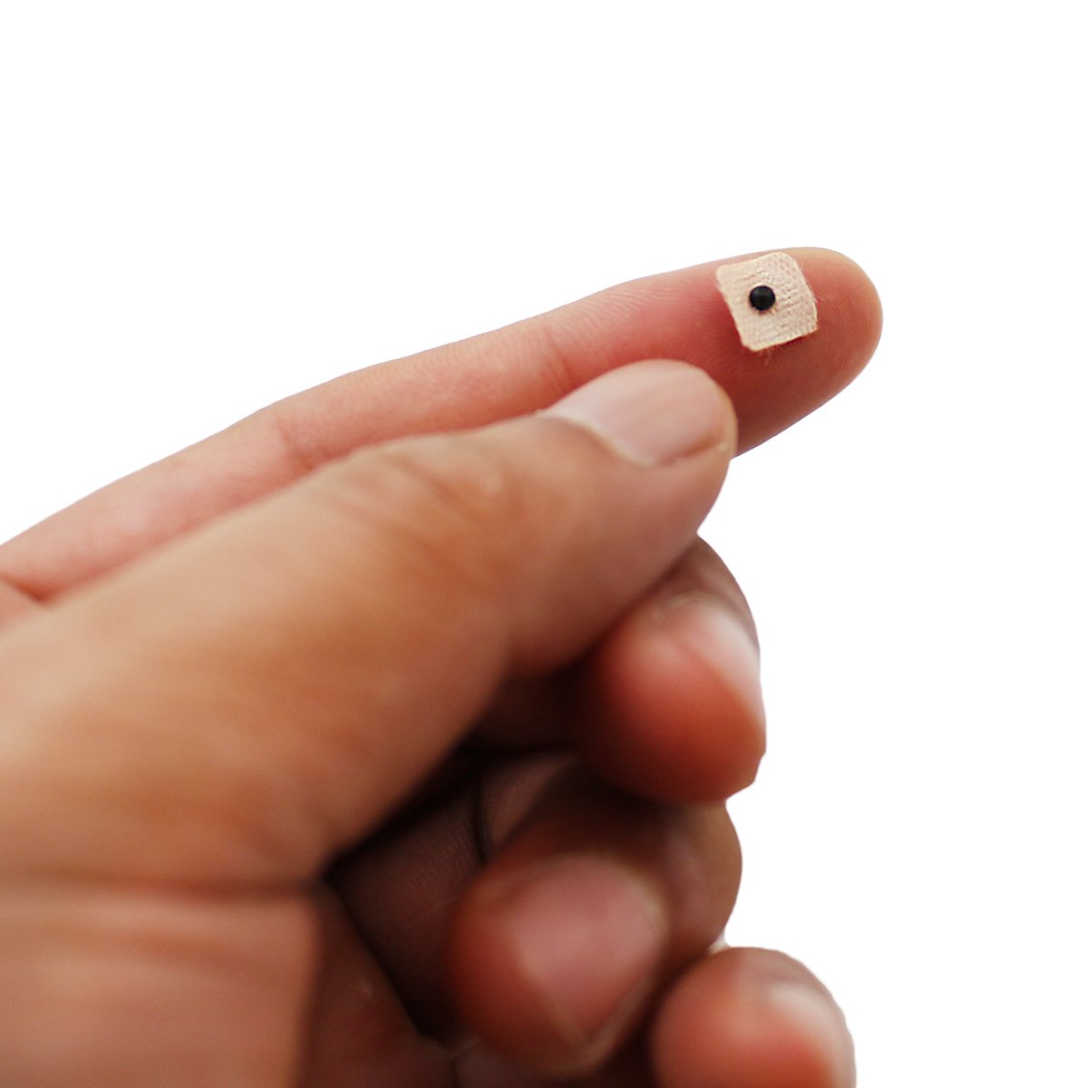 Dragon Acupuncture - comparación de tamaño de las semillas para evaluar colocación