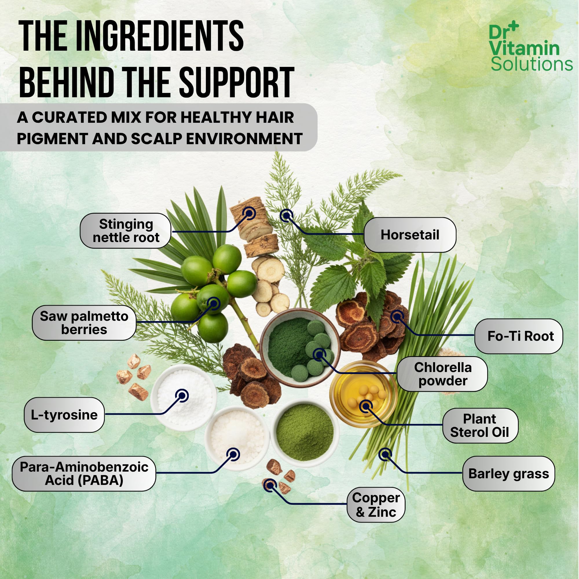 DR VITAMIN SOLUTIONS cápsulas en mano para comparar tamaño y dosis diaria