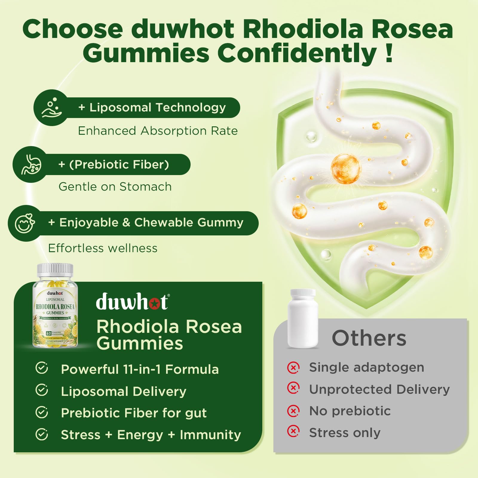 duwhot Rhodiola y ashwagandha ilustradas, reflejando origen vegetal