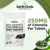 Earth Circle Organics chlorella en polvo crudo como origen natural del suplemento