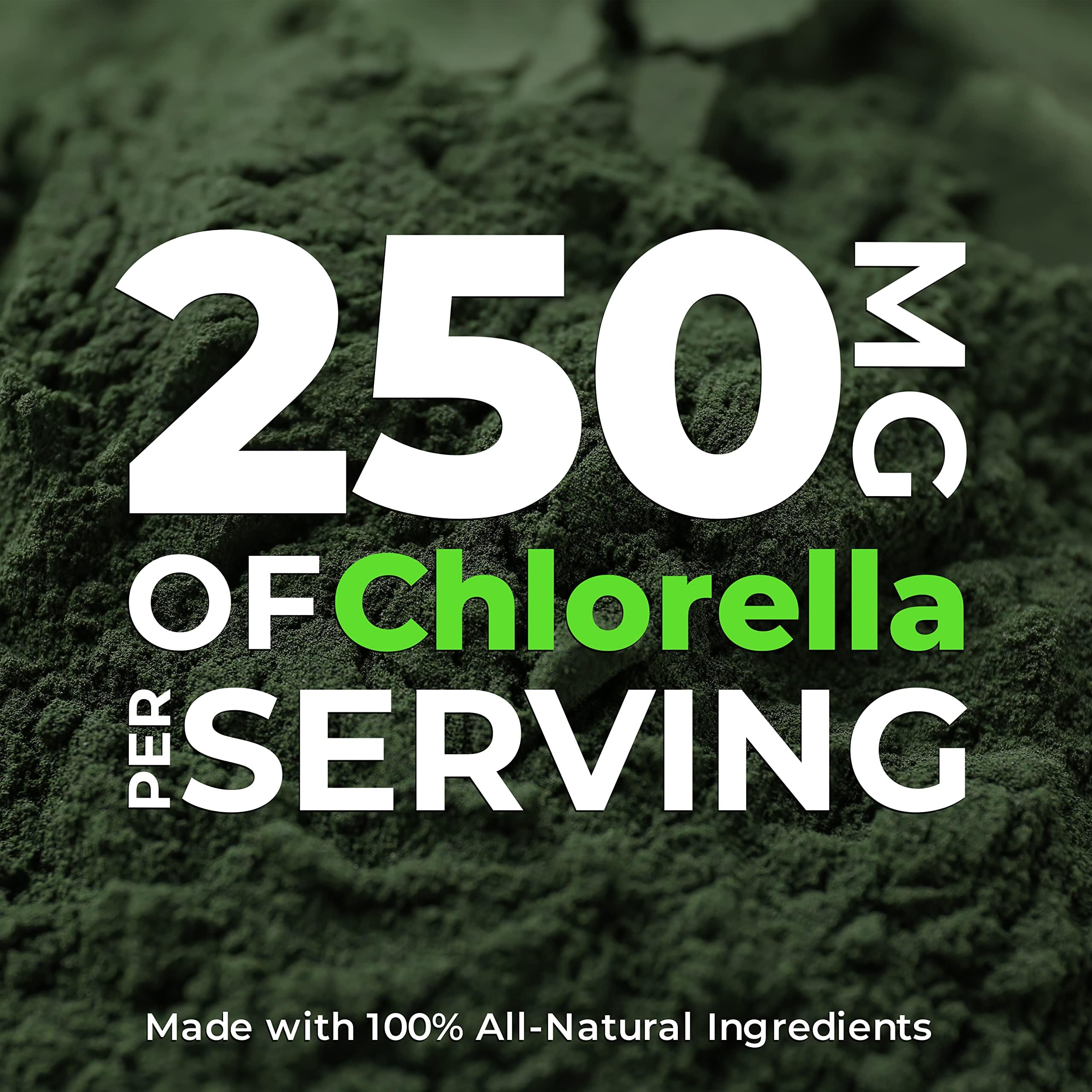 Primer plano de tabletas Earth Circle Organics mostrando textura y pureza