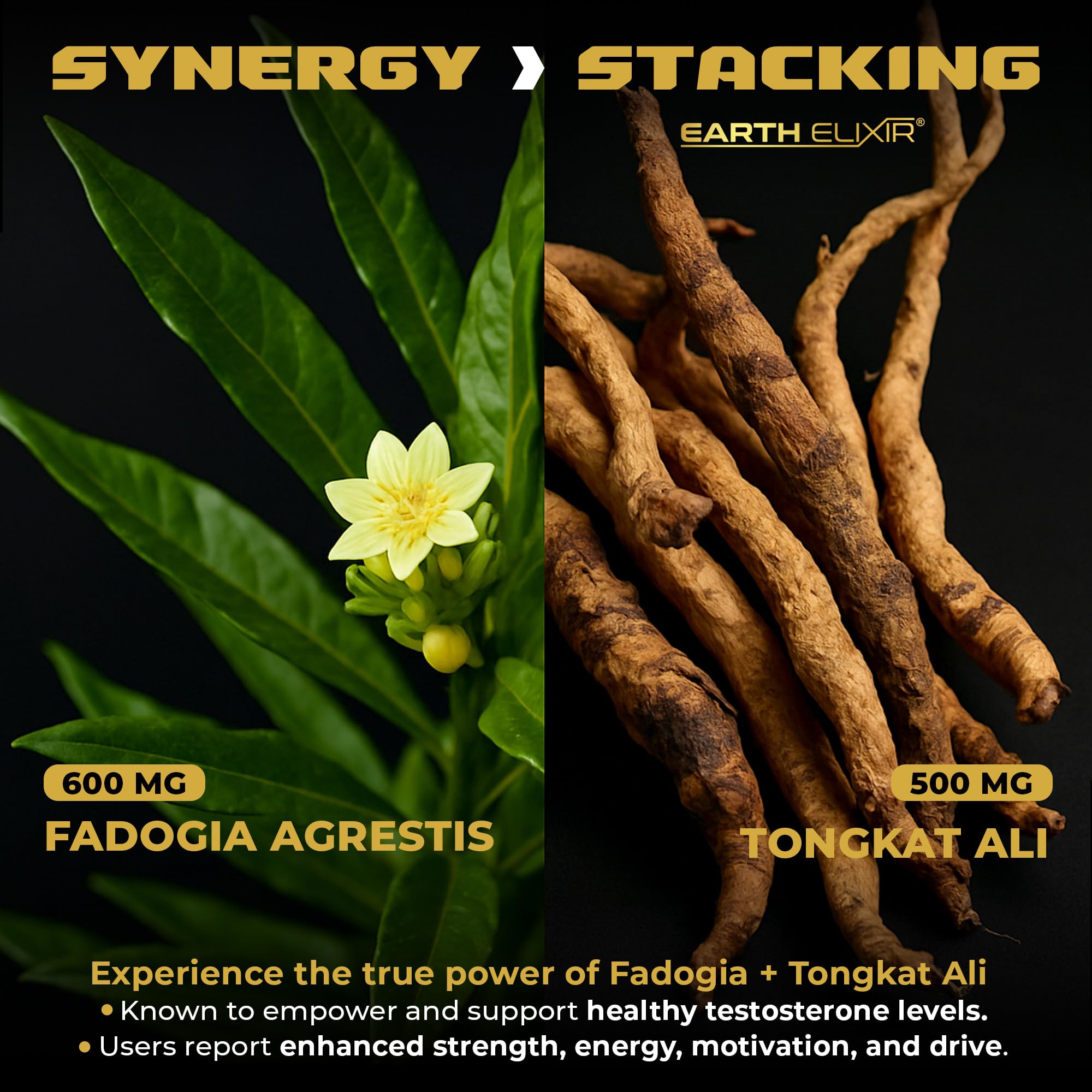 Earth Elixir ingredientes crudos (fadogia y tongkat) con aspecto natural
