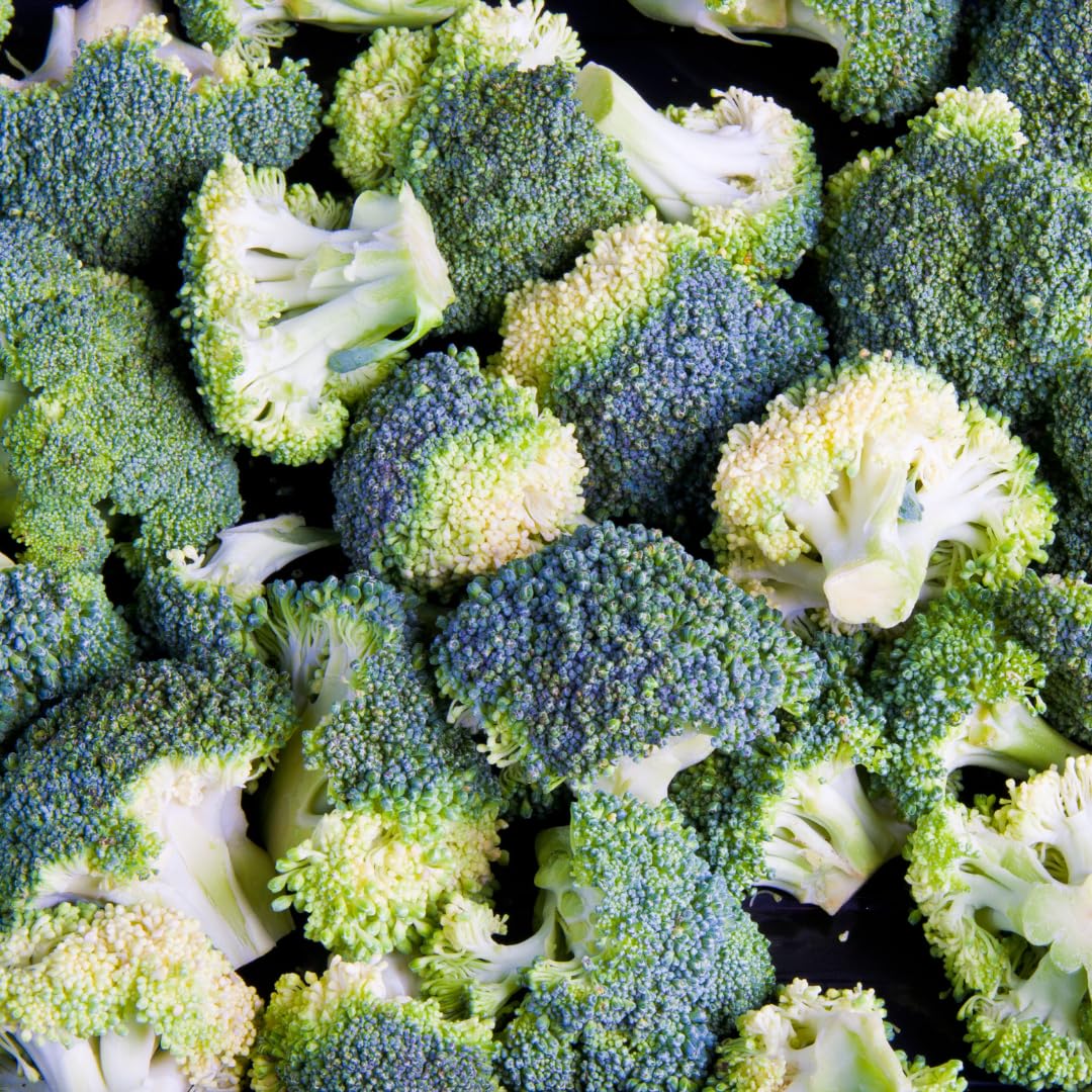 Earthborn Elements etiqueta con ingredientes limpios y sin rellenos