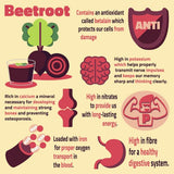 EarthWise Aromatics etiqueta con nombre botánico Beta vulgaris y origen Egipto