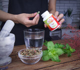 Eclectic INSTITUTE ingredientes mostrando solo ortiga pura y liofilización