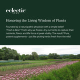 ECLECTIC INSTITUTE imagen natural que transmite sostenibilidad y producto ecológico